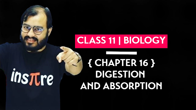 Class 11 Biology Chapter 16 Digestion And Absorption Hand Written Pdf Physics Wallah Notes Download