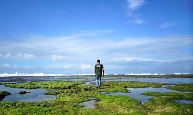 Pesona Keindahan Pantai Sayang Heulang di Garut yang Memukau