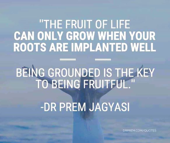 the fruit of life grow from where you plant your roots - Dr Prem Jagyasi