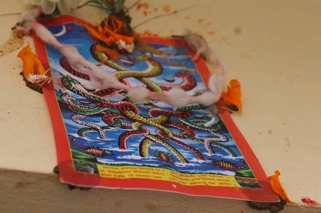 Naag Panchami, snake worship