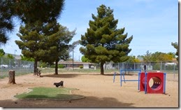 Dog Park Prescott Valley (Skruffy)