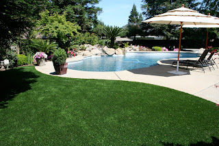 sod grass for pool area