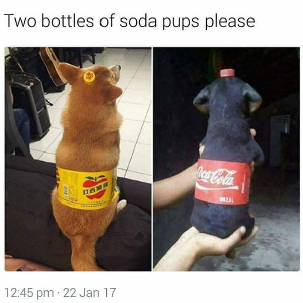 Two bottles of soda pups please.