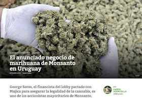 Resultado de imagen de Marihuana  Uruguay Soros