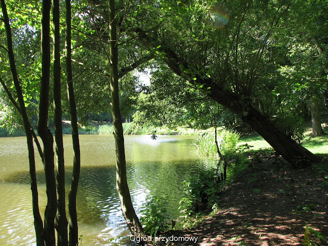 Park Oruński, ogród przydomowy