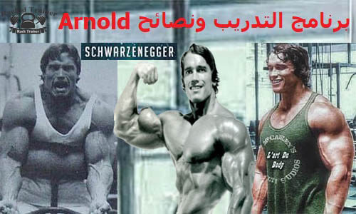برنامج التدريب ونصائح Arnold