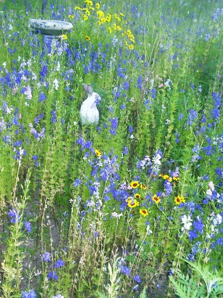 Pam Robert's Innerarity Point Flower Farm Perdido Key, Gulf Shores &  Orange Beach Alabama