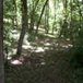 View album