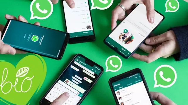 WhatsApp