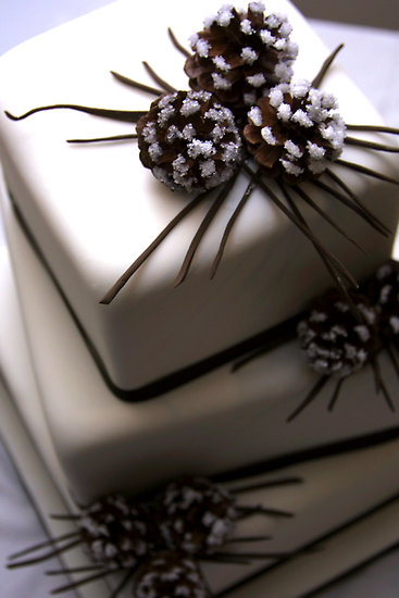 winter wedding cake