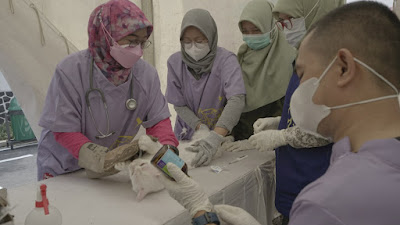 Peringati Hari Rabies Sedunia 2022, Bandung Deklarasikan Diri Sebagai Kota Bebas Rabies