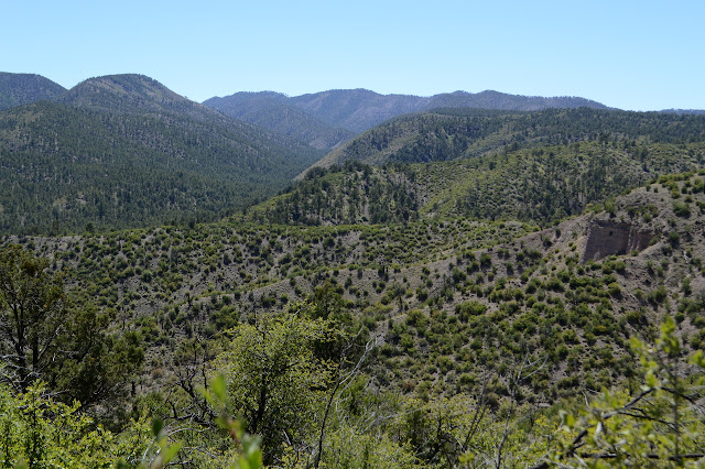 canyon around little creek