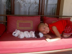 The Unmistaken Child loves animals