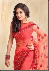actress_arundhati_hot_in saree_pic