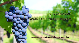 www.prnatanaelsp.com.br