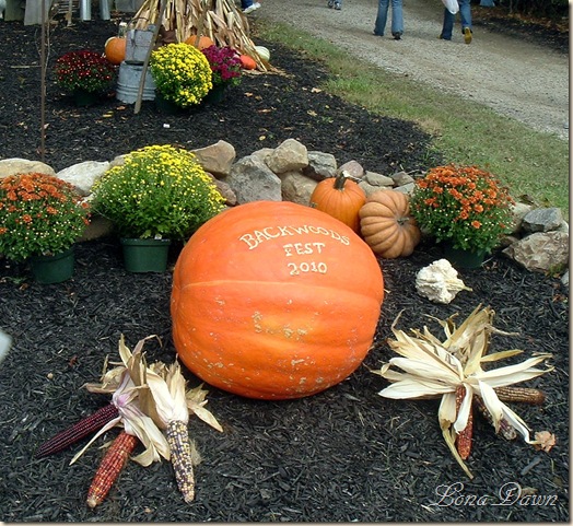 DSCF2946