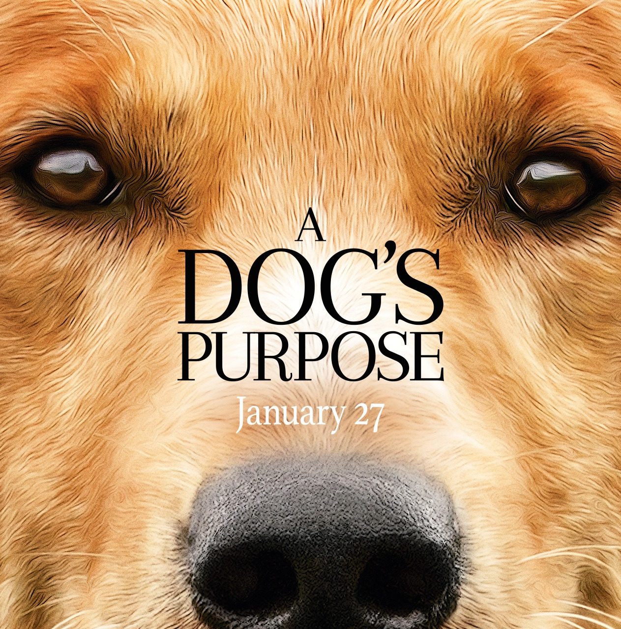 A Dog s Purpose is manipulative but you ll still cry