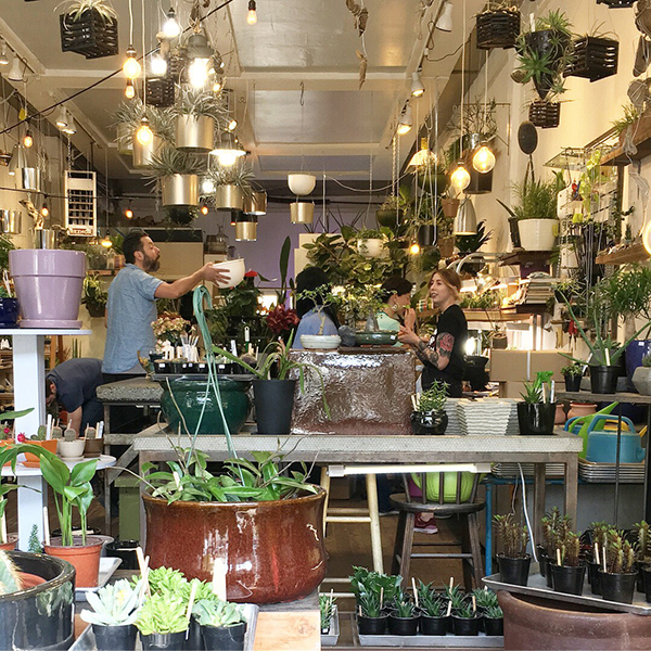 A plant shop in Ballard, Seattle
