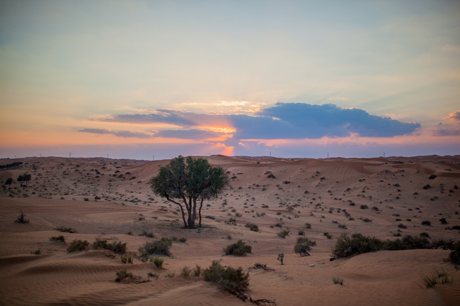desert sunset dubai travco