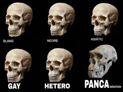 Calavera, cráneo, cap, pancatalanistes