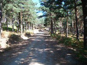 Nuestra ruta de Madrid a la Morcuera y Canencia. Septiembre 2012