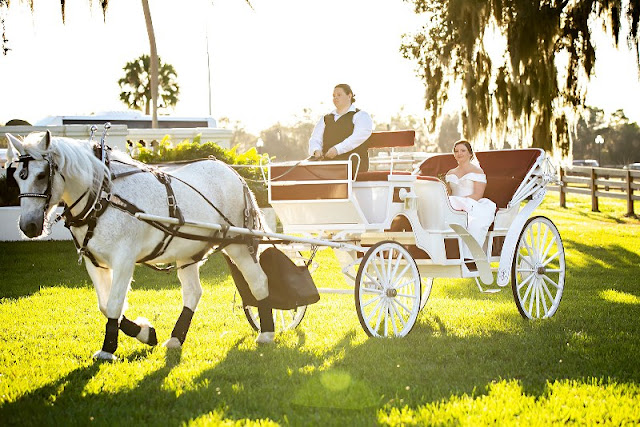 bride sitting in white carriage pulled by horses