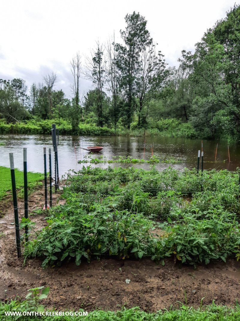 Garden flooding | On The Creek Blog // www.onthecreekblog.com