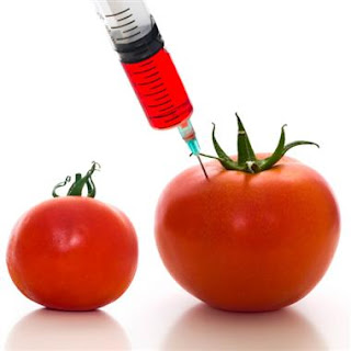 Genetically modified foods
