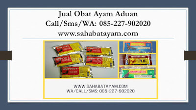 Obat Ayam Hutan Sakit, Obat Ayam Ileran, Obat Ayam Import, Obat Ayam Infeksi Tenggorokan, Obat Ayam Ingusan Bau