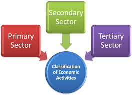 What are Economic Activities? primary, secondary and tertiary