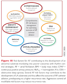 Optimizing Atrial Fibrillation Outcome