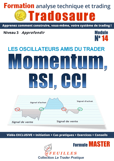 MOMENTUM-RSI-CCI-TRADING