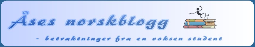 Åses norskblogg