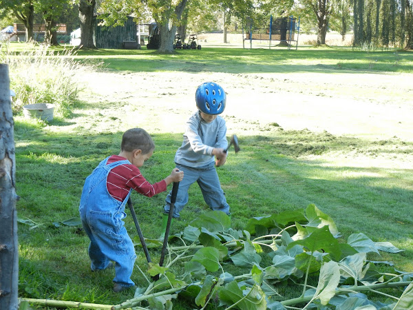 Chores for Boys