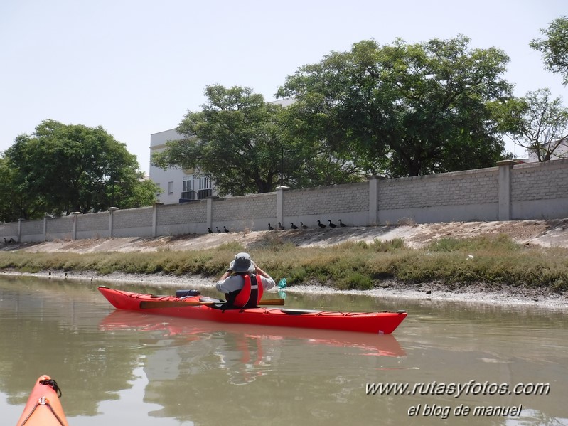 Kayak San Fernando - Chiclana