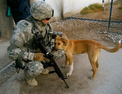 Soldiers with Pets Seen On www.coolpicturegallery.us