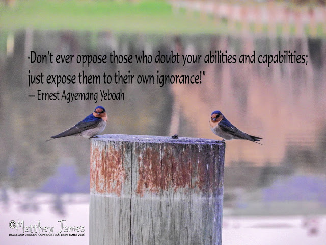 'Don't ever oppose those who doubt your abilities and capabilities; just expose them to their own ignorance' - Ernet Agyemang Yeboah