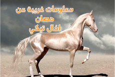 هل سمعت بقدرات حصان اخال تيكي Akhal-Tiki horse الخارقة !؟