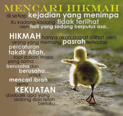 66+ Terbaru Kata Kata Mutiara Rumah Tangga, Kata Kata ...