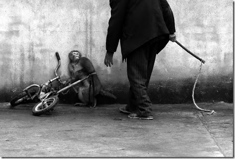 Netherlands World Press Photo