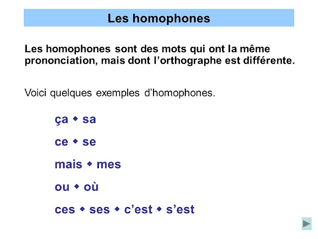 درس تعلم اللغة الفرنسية، ماذا نقصد ب les homophones