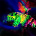 Butterfly Wallpaper