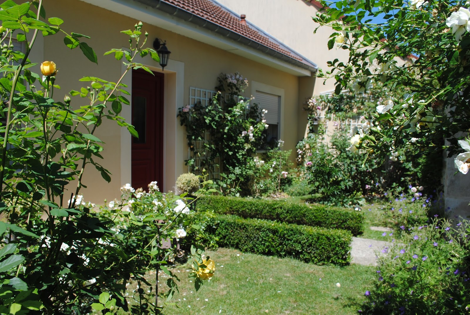 La Passion D Anne Marie Le Jardin De Sophie