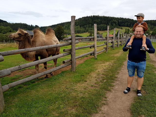 Zoo Farma Łączna 