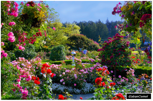  Taman  Bunga Paling  Indah  Di  Dunia  Gaban Comel
