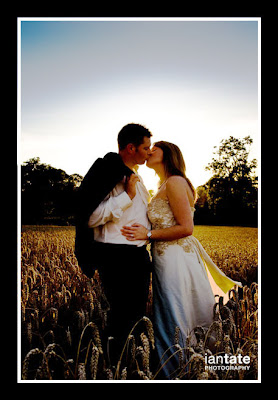 wedding kiss in wheat field