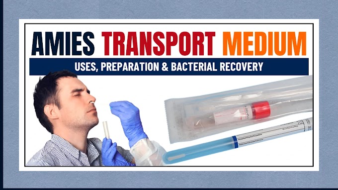 Amies Transport Medium: Uses, Composition, Preparation & Pathogen Recovery