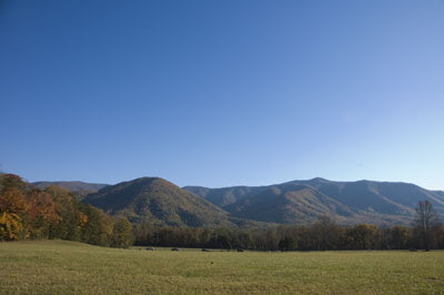 Join me for a guided hike in Cades Cove