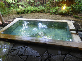 Baignade dans un Onsen au Japon