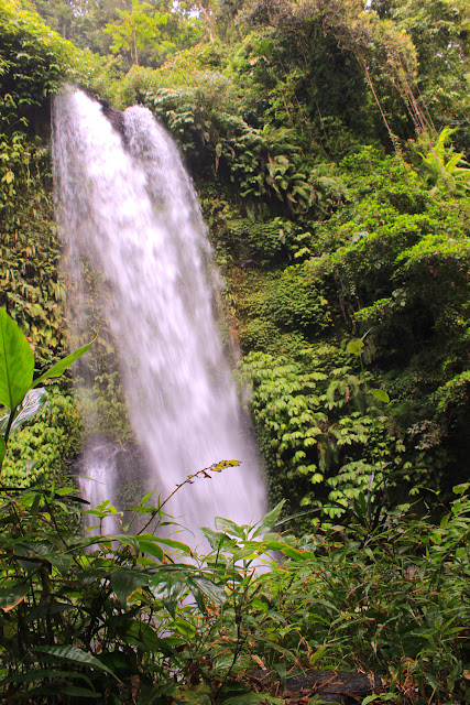 pemandangan alam natural